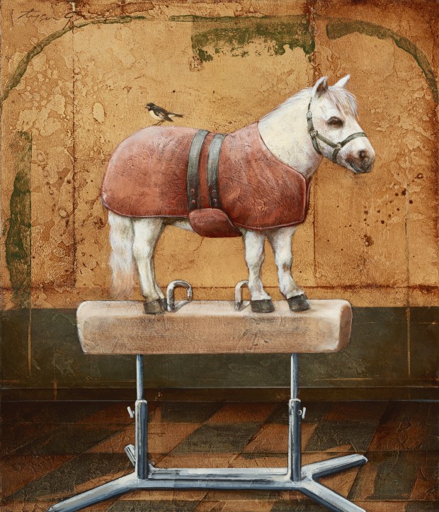 Horse on Pommel Horse