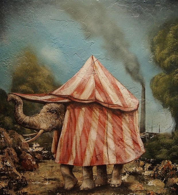 13582_628992010467808_61669940_n