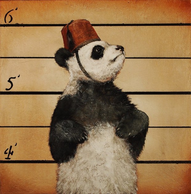 1975083_734945119872496_2115161434_n