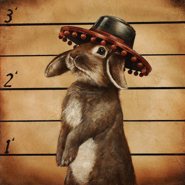 Don-Juan-Carrot-Thief