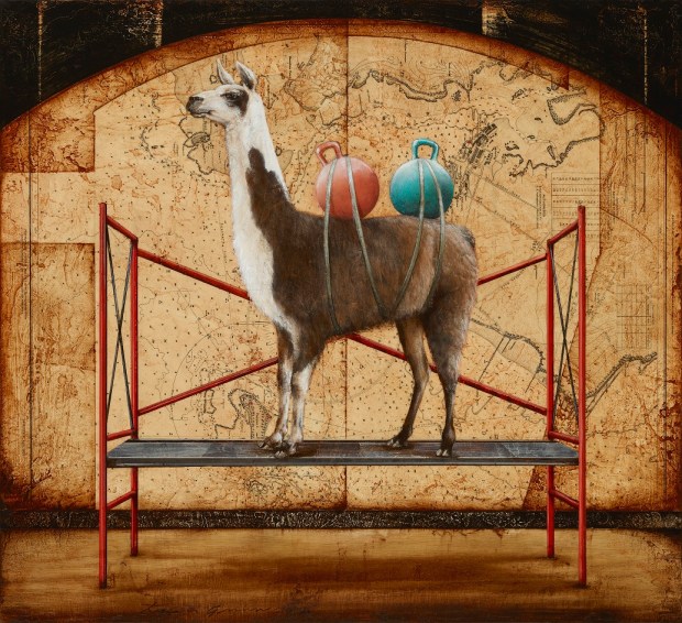 double_bump_humped_llamaimposter-series